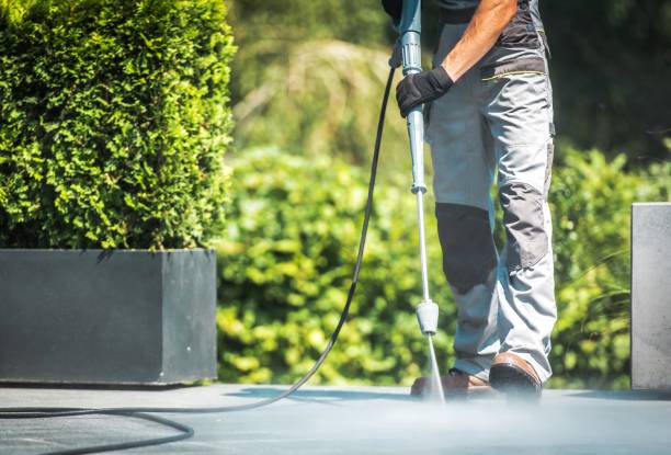 Best Spring Cleaning  in Oakland, FL
